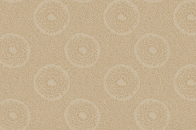Обои York Carey Lind - Jewel Box LD7643
