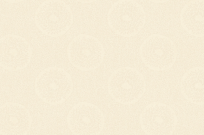 Обои York Carey Lind - Jewel Box LD7647