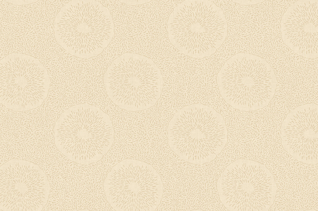 Обои York Carey Lind - Jewel Box LD7648