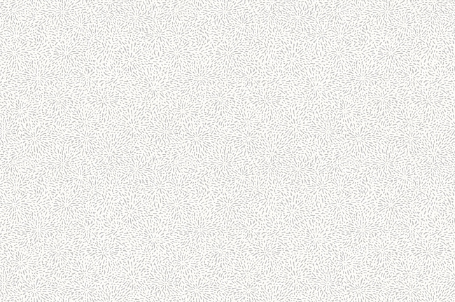Обои York Carey Lind - Jewel Box LD7654