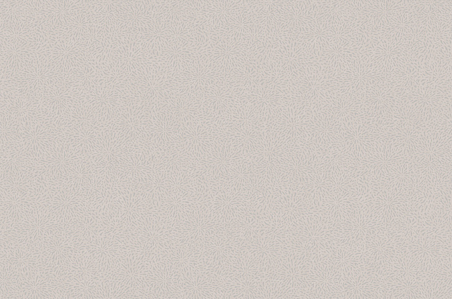 Обои York Carey Lind - Jewel Box LD7655