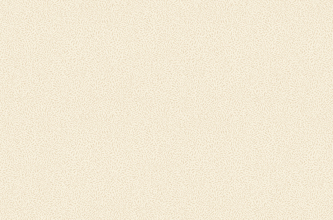 Обои York Carey Lind - Jewel Box LD7656