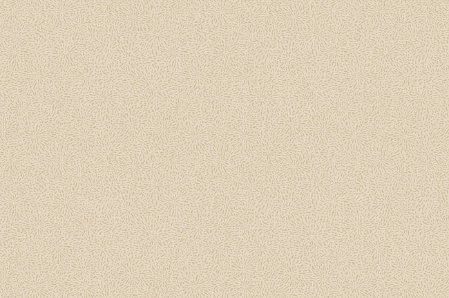 Обои York Carey Lind - Jewel Box LD7657