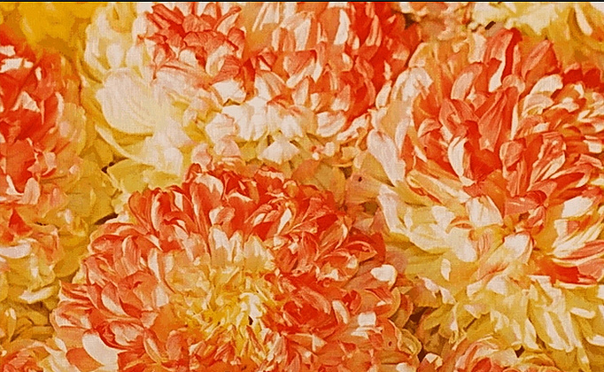 Панно и фотообои Kolizz-Art Digi TD12063-8P-W