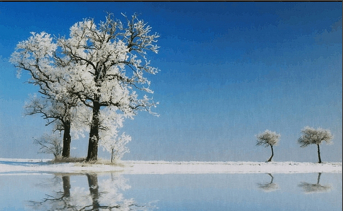 Панно и фотообои Kolizz-Art Digi TD1209-8P-W