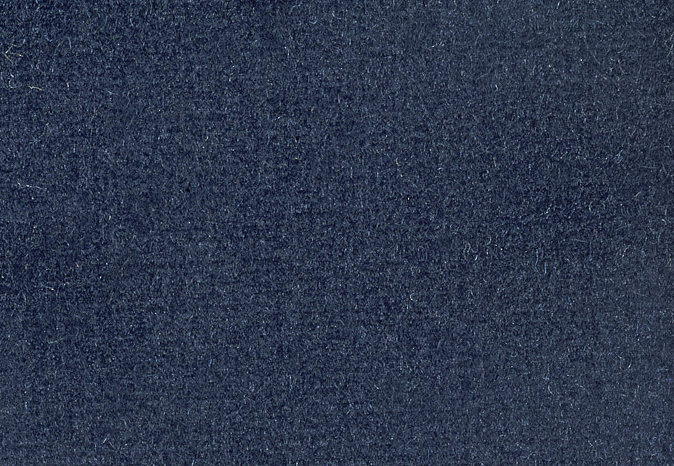 Ткань Alessandro Bini Velluto di Cotone G075/420