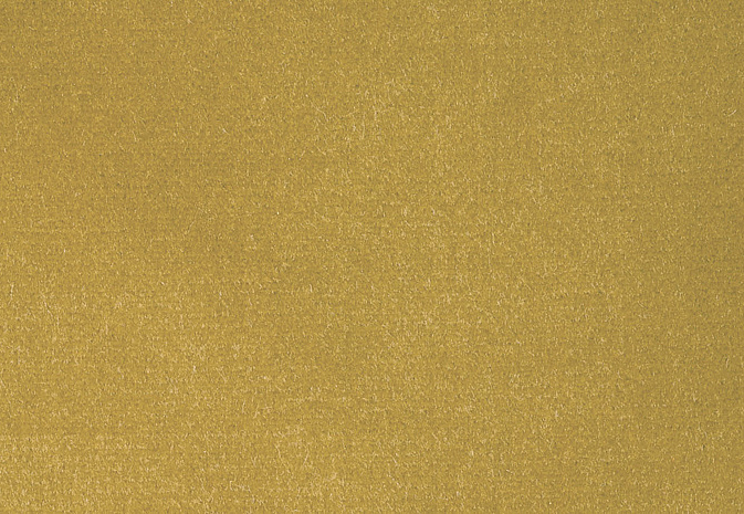 Ткань Alessandro Bini Velluto di Cotone G075/338