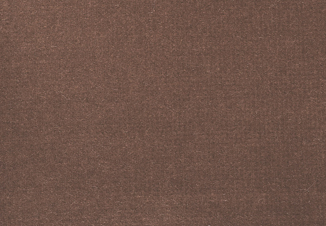Ткань Alessandro Bini Velluto di Cotone G075/641
