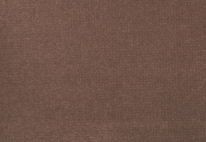 Ткань Alessandro Bini Velluto di Cotone G075/641