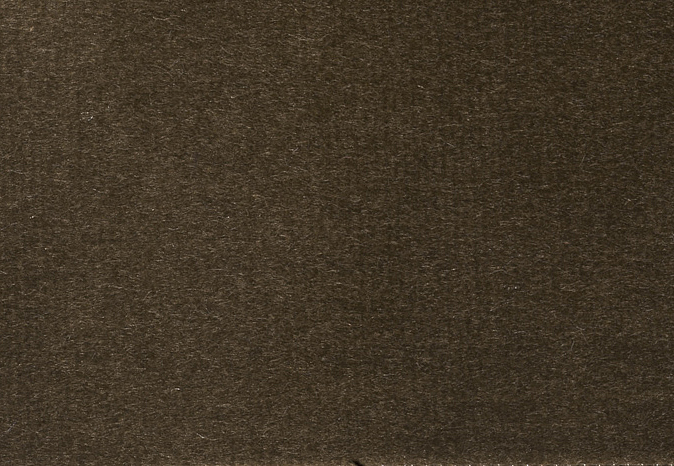 Ткань Alessandro Bini Velluto di Cotone G075/640