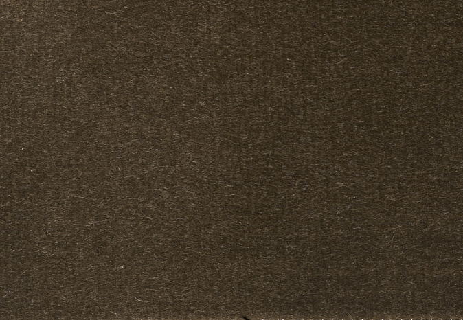 Ткань Alessandro Bini Velluto di Cotone G075/640