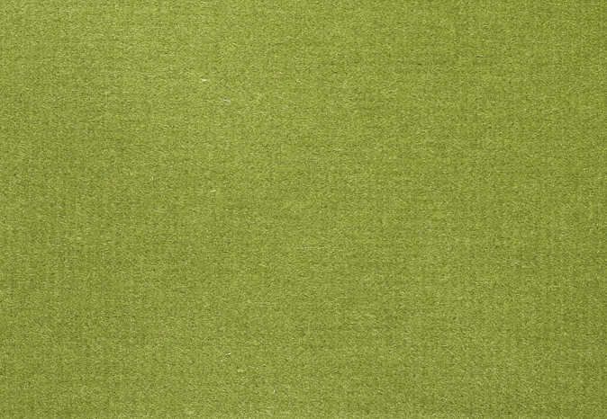 Ткань Alessandro Bini Velluto di Cotone G075/785