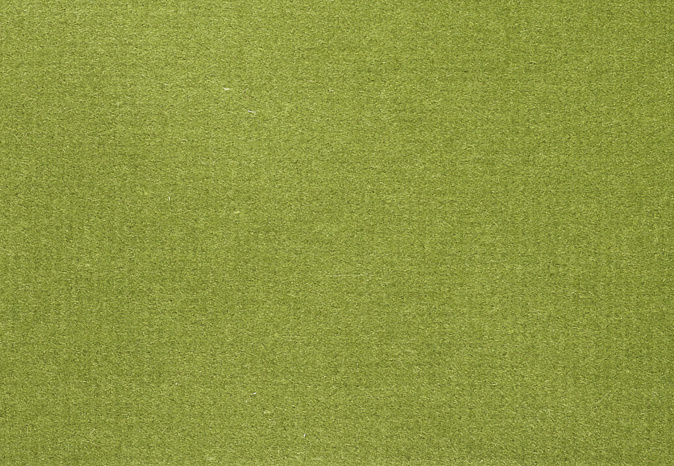 Ткань Alessandro Bini Velluto di Cotone G075/785