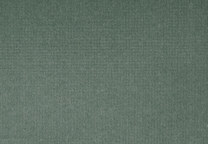 Ткань Alessandro Bini Velluto di Cotone G075/788