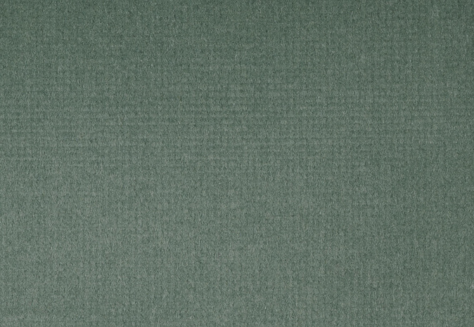 Ткань Alessandro Bini Velluto di Cotone G075/788