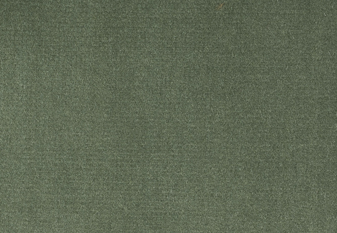 Ткань Alessandro Bini Velluto di Cotone G075/234
