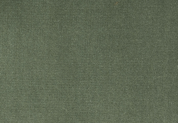Ткань Alessandro Bini Velluto di Cotone G075/234