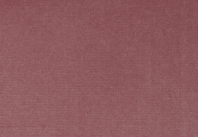Ткань Alessandro Bini Velluto di Cotone G075/452