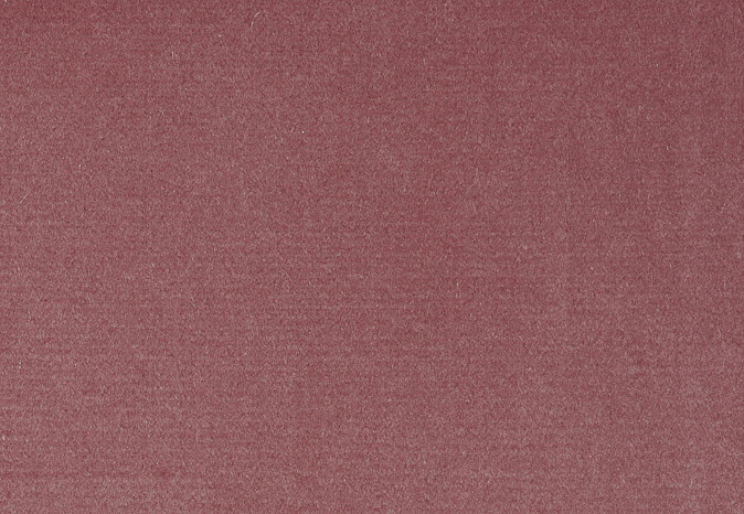 Ткань Alessandro Bini Velluto di Cotone G075/452