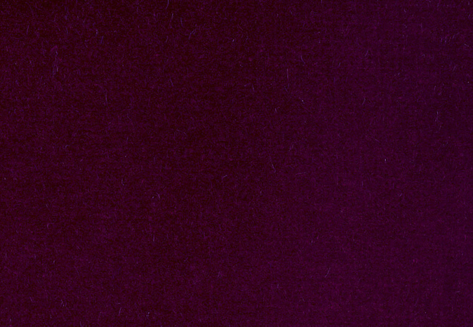 Ткань Alessandro Bini Velluto di Cotone G075/822