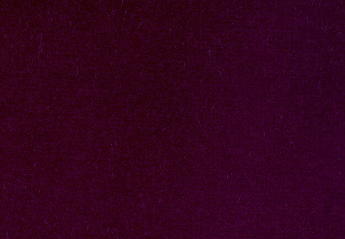 Ткань Alessandro Bini Velluto di Cotone G075/822