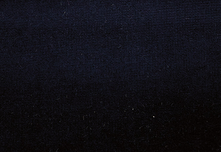 Ткань Alessandro Bini Velluto di Cotone G075/412