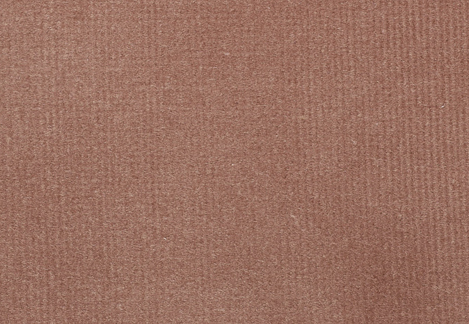 Ткань Alessandro Bini Velluto di Cotone G075/462