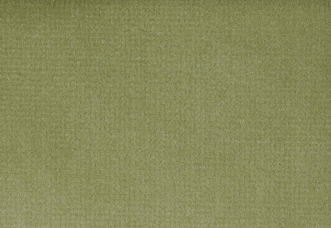 Ткань Alessandro Bini Velluto di Cotone G075/786