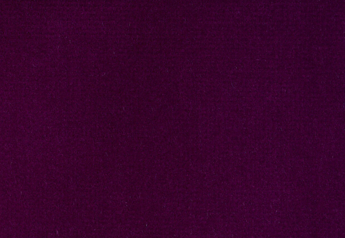 Ткань Alessandro Bini Velluto di Cotone G075/510