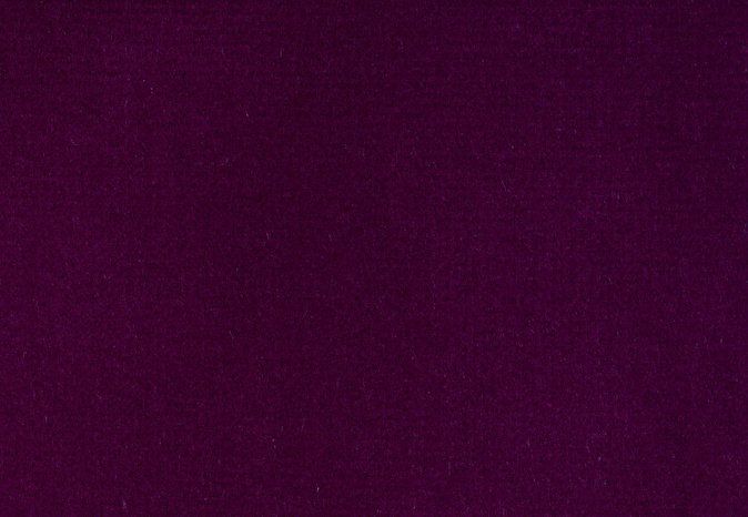 Ткань Alessandro Bini Velluto di Cotone G075/510