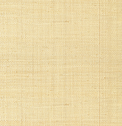 Обои Thibaut Grasscloth Resource III T41106