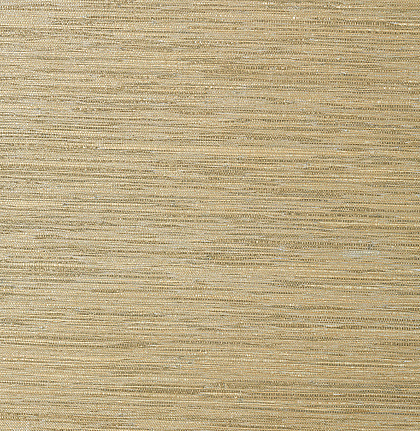 Обои Thibaut Grasscloth Resource III T41119