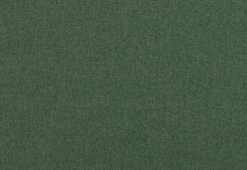 Ткань Clarke & Clarke Highlander 2 F0848/46