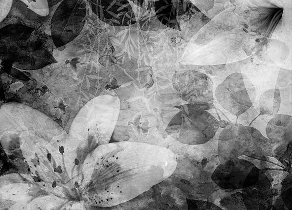 Панно и фотообои Rebel Walls No 1 Panorama R12062