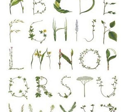 Панно и фотообои Rebel Walls No 3 Greenhouse R13191