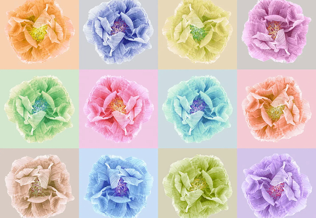 Панно и фотообои Rebel Walls No 3 Greenhouse R13151