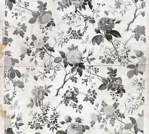 Панно и фотообои Rebel Walls No 3 Greenhouse R13072