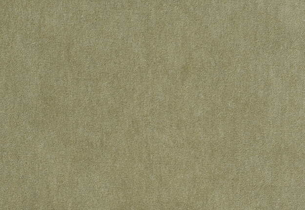 Ткань Bart Halpern Velveteen 18100-08