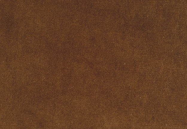 Ткань Bart Halpern Velveteen 18100-13
