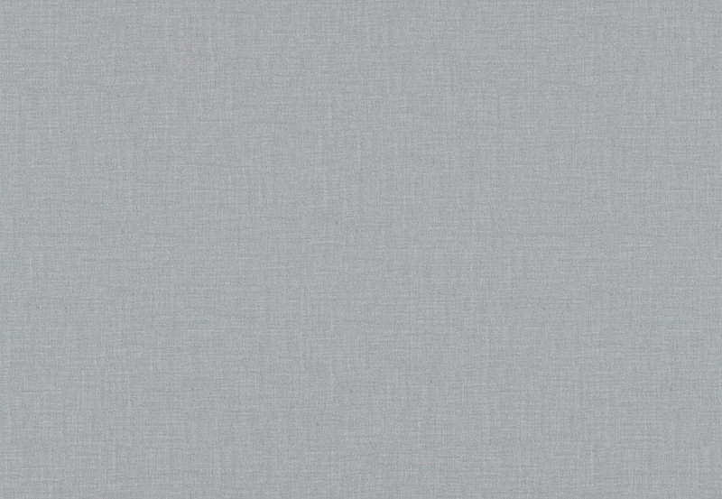 Ткань Daylight Ambience Blow/Ash
