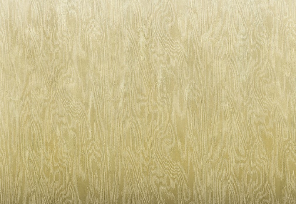 Обои Khroma Wall Designs IV DG4MOI1013-260