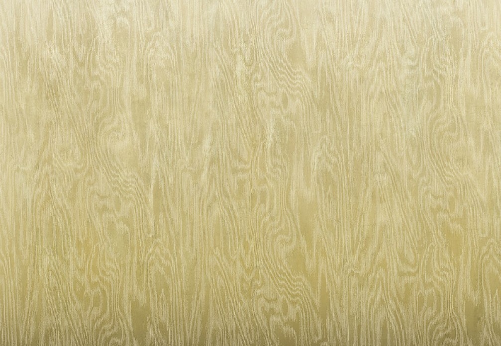 Обои Khroma Wall Designs IV DG4MOI1013-260