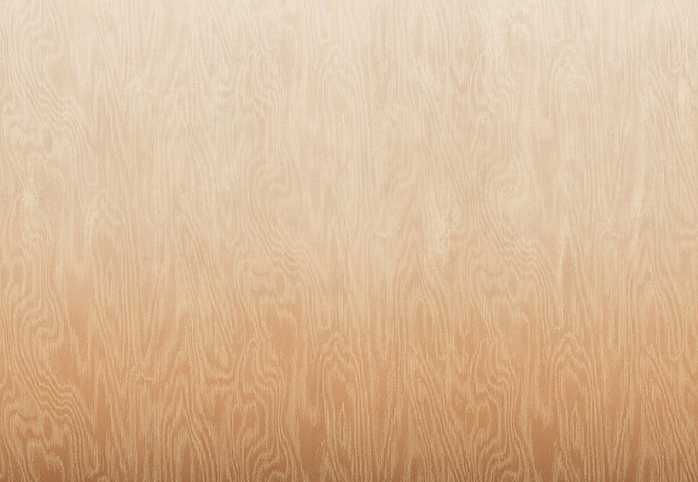 Обои Khroma Wall Designs IV DG4MOI1041-260