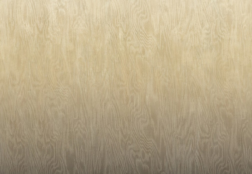 Обои Khroma Wall Designs IV DG4MOI1051-260