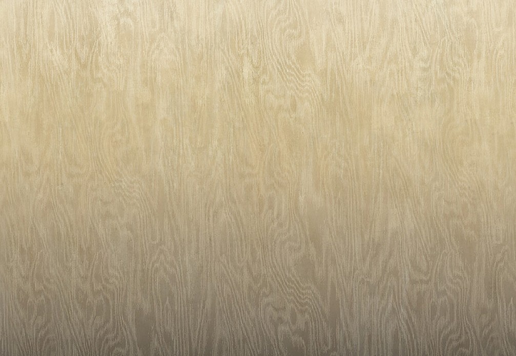 Обои Khroma Wall Designs IV DG4MOI1053-260