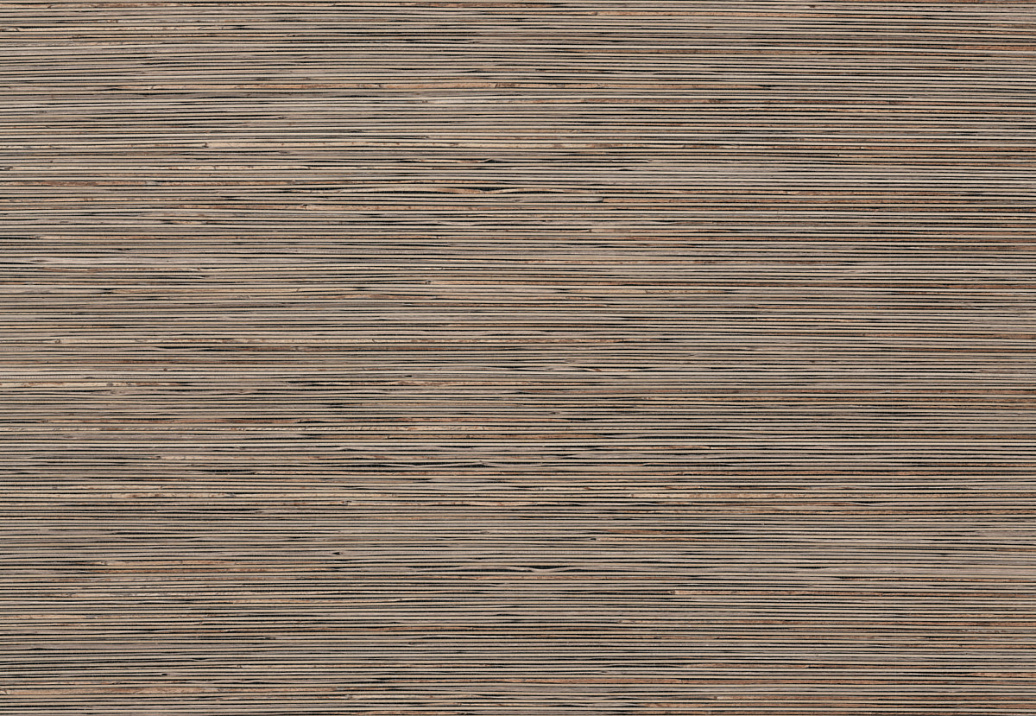 Обои York Natural Discovery (Candice Olson) NT6101