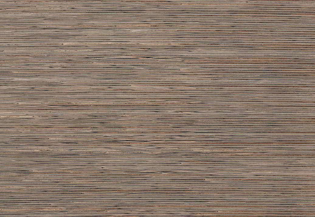 Обои York Natural Discovery (Candice Olson) NT6101