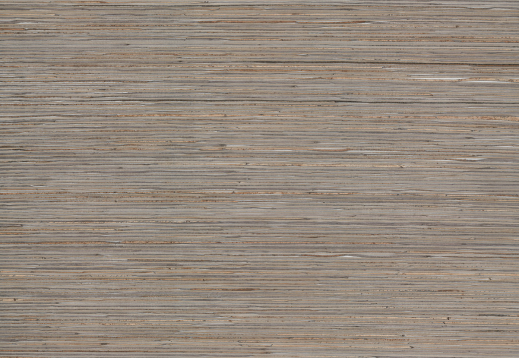 Обои York Natural Discovery (Candice Olson) NT6102