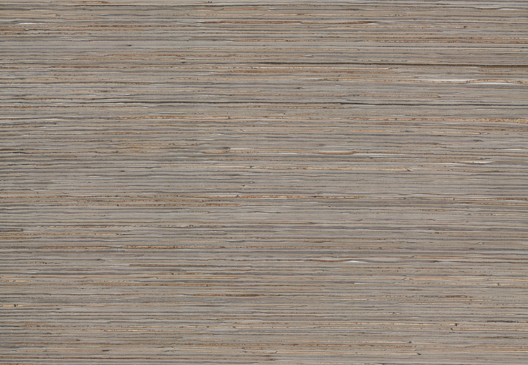 Обои York Natural Discovery (Candice Olson) NT6102
