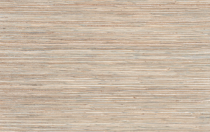 Американские обои York, коллекция Natural Discovery (Candice Olson), артикул NT6103